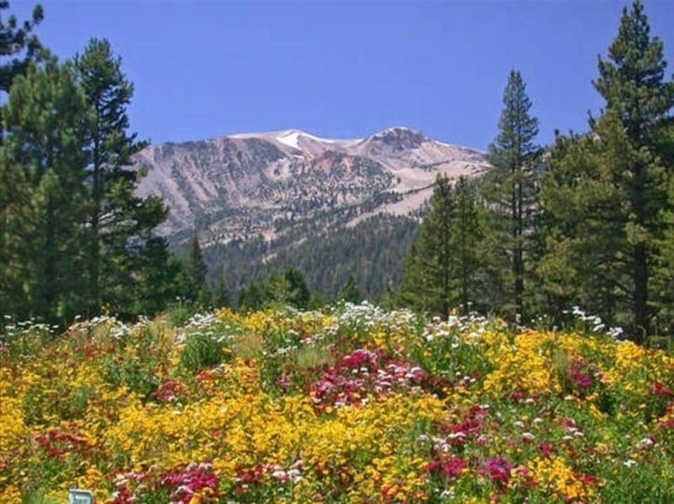 4 Seasons Playground! Spring in Mammoth Lakes is for you!