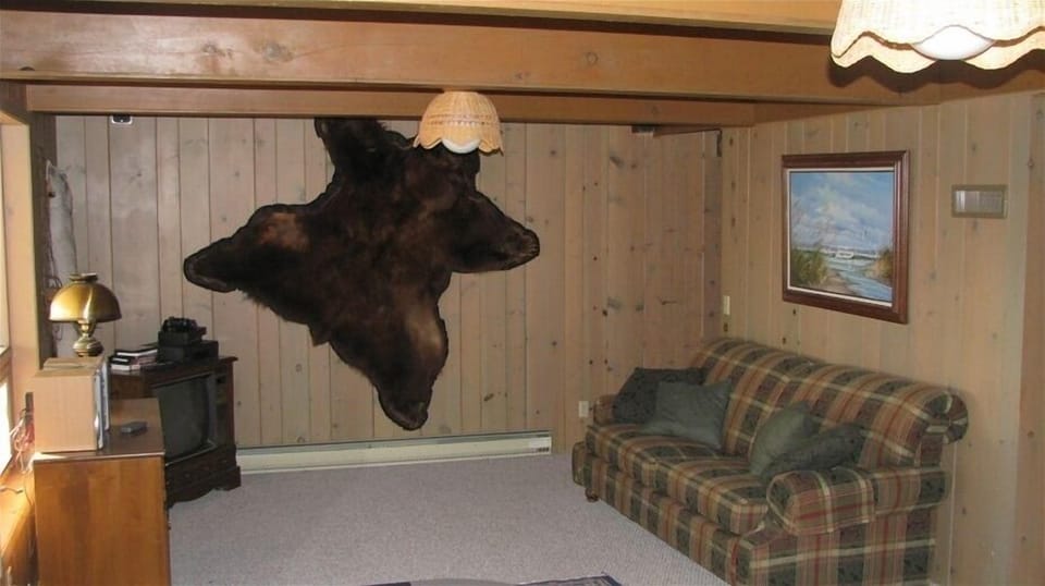 This is the 31st largest black bear in the world! Over 600#s