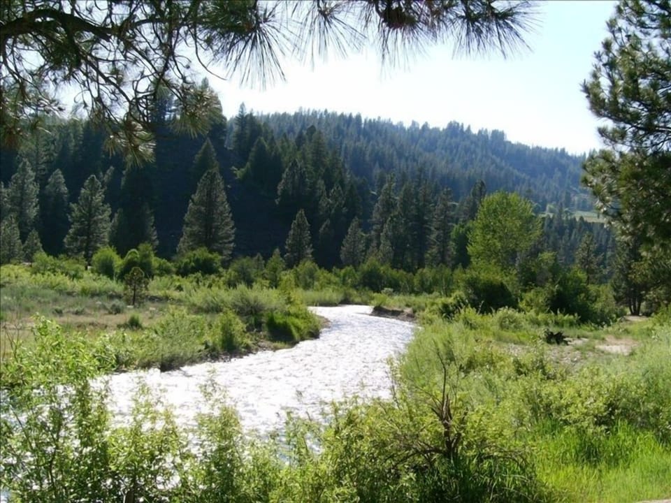 CATCH SOME TROUT, GRIMES CREEK 1-1/2 MILES FROM CABIN