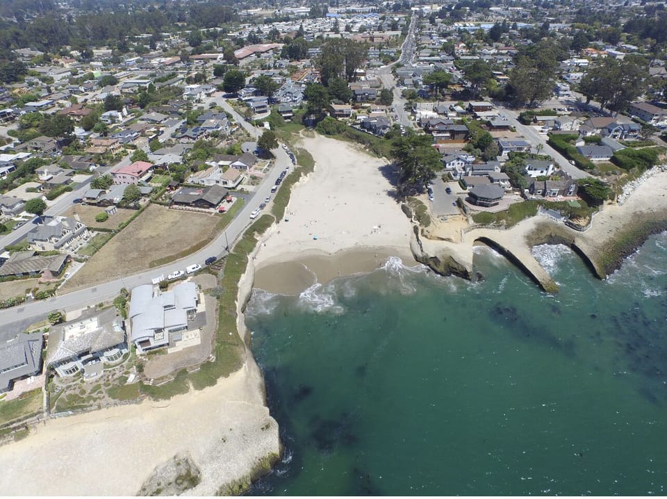 Aerial view: Sunny Cove beach & our neighborhood