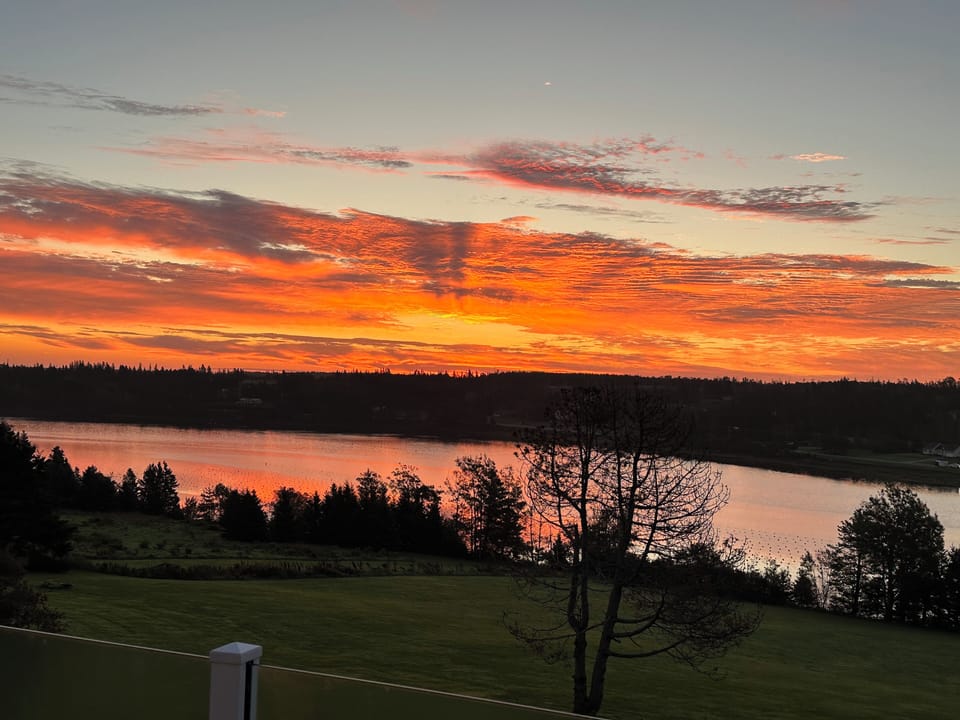 View from property