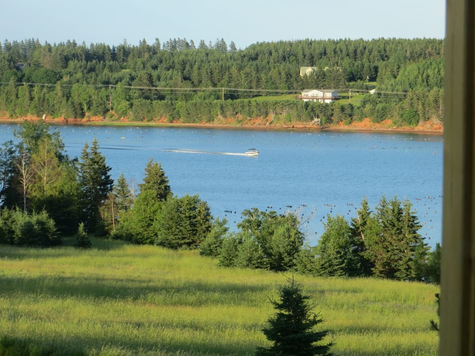 View from the 
living Room
