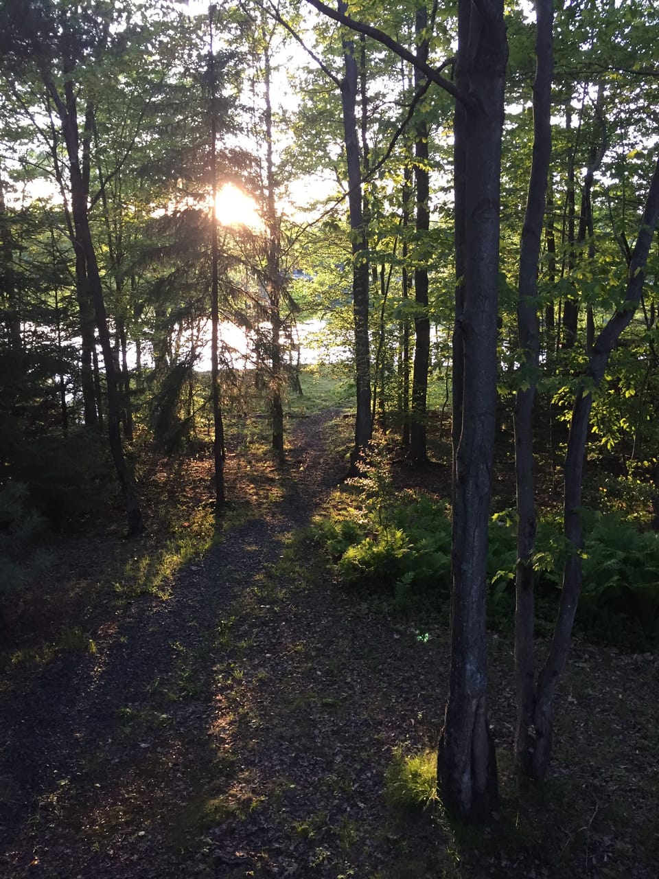 Pathway from house down to private lake front 