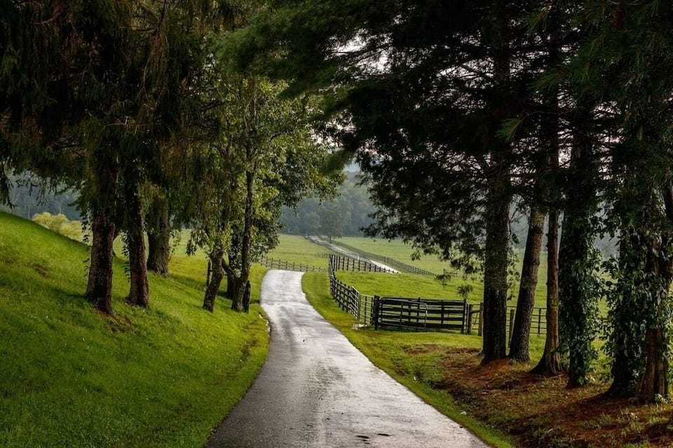 Enjoy a walk around the farm