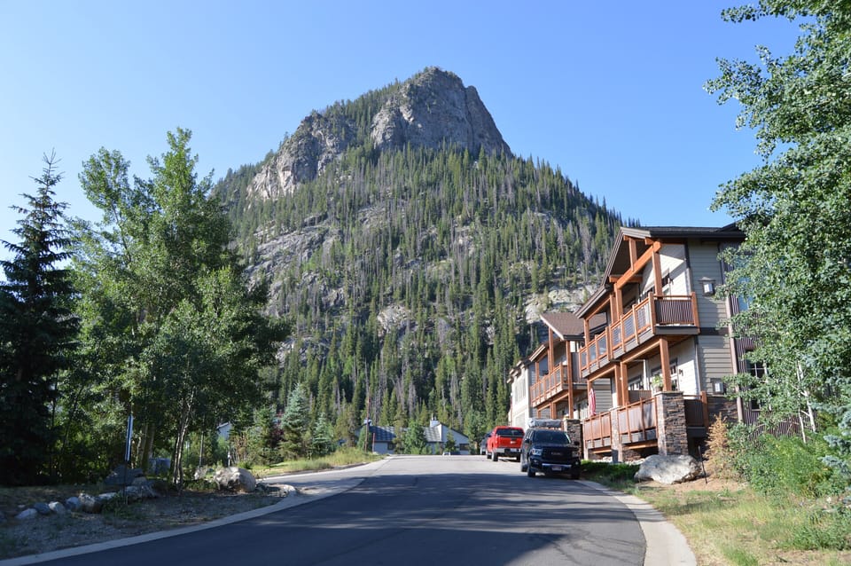 Mount Royal from the front of the building. You can hike to the top! 