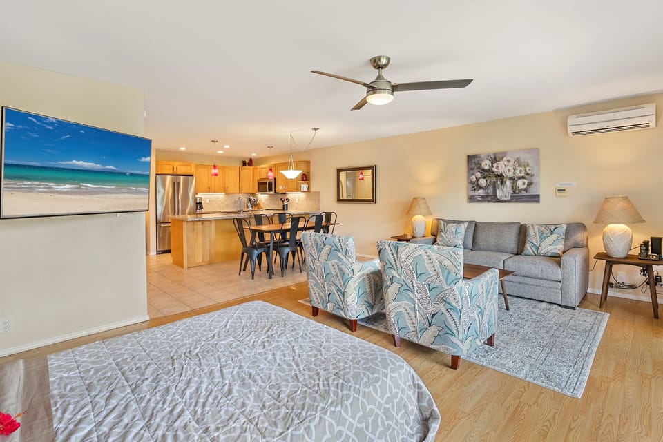Even with the Murphy bed down, this is a spacious living room. TV, A/C, kitchen