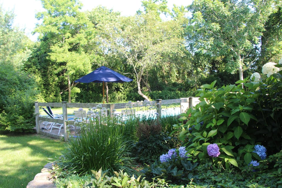 Flower bed and pool, east of house