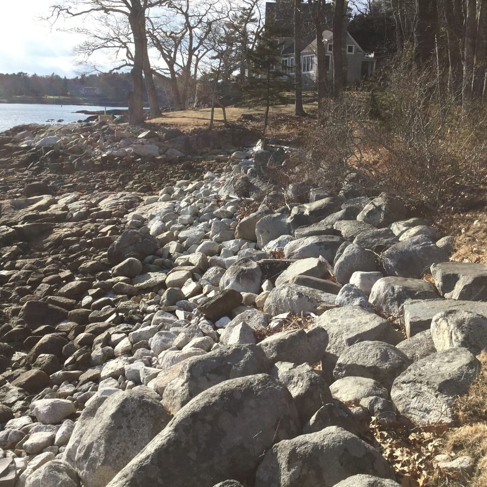 Early spring view of lawn meeting the beach, at low tide, looking west
