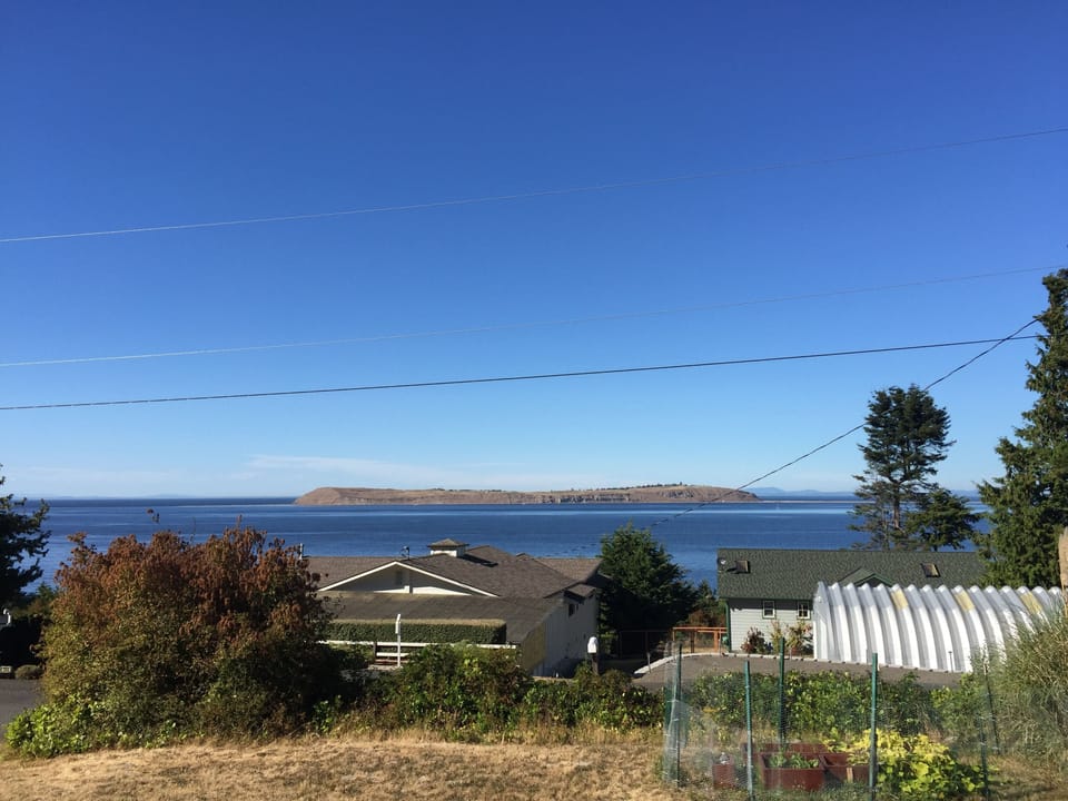 A view of Protection Island from the deck.