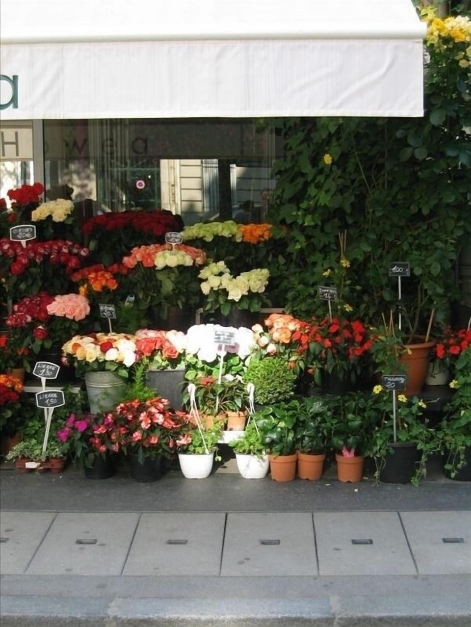 Fresh Flowers and Croissants Every Morning