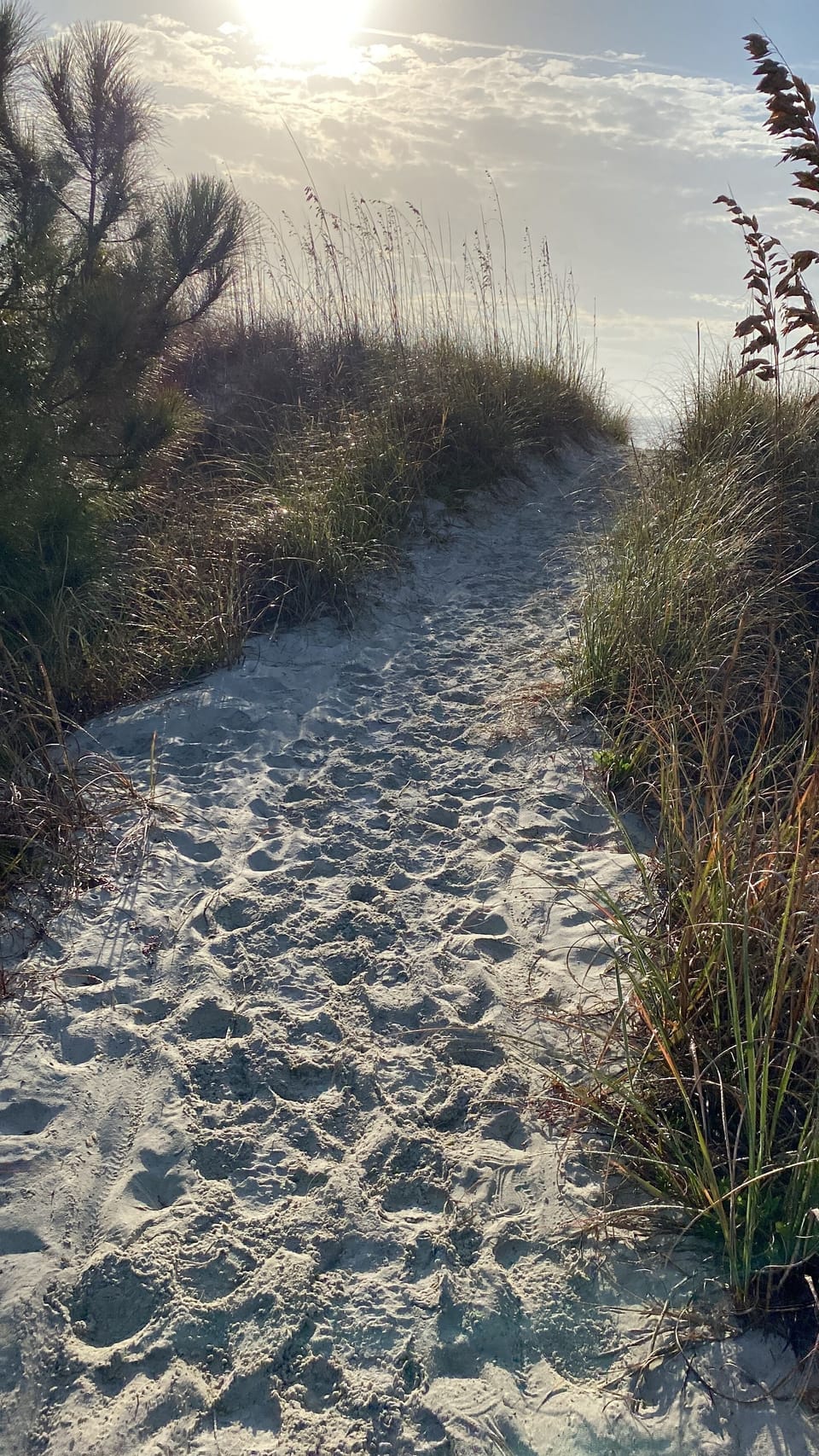 Walk path to the beach