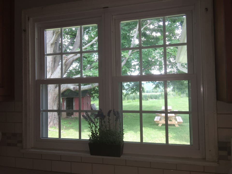 view from the kitchen window 