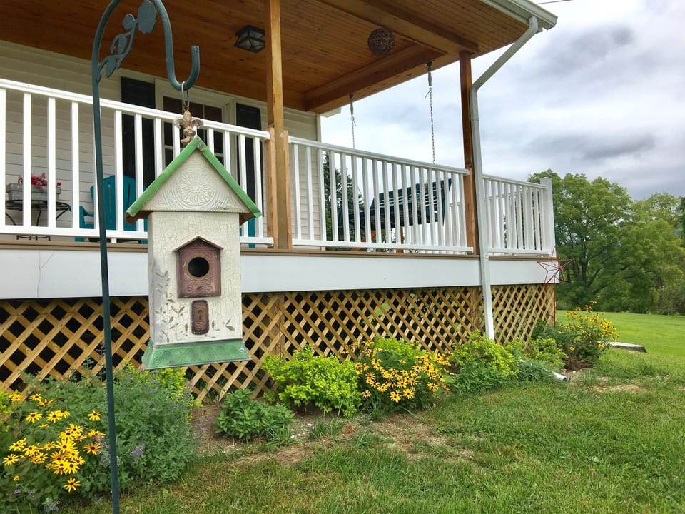 Yes, there was a birds nest in here this summer!