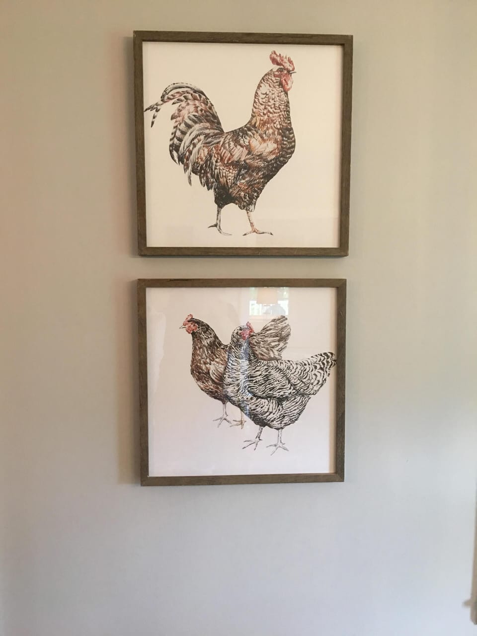 Chickens!   I have a thing for chickens haha