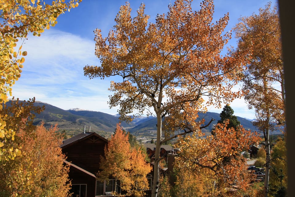 View from the master bedroom in the fall
