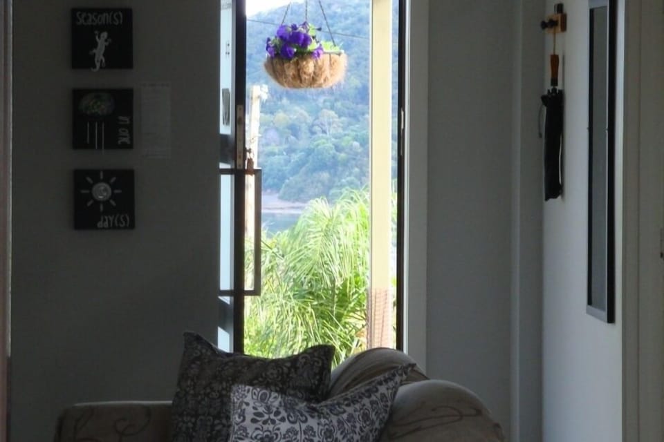 View through front door
