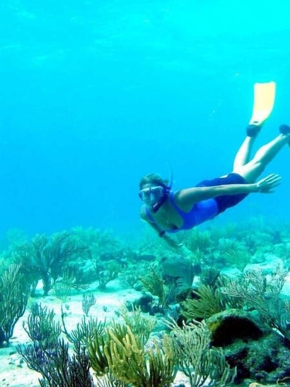 snorkeling off Eleuthera