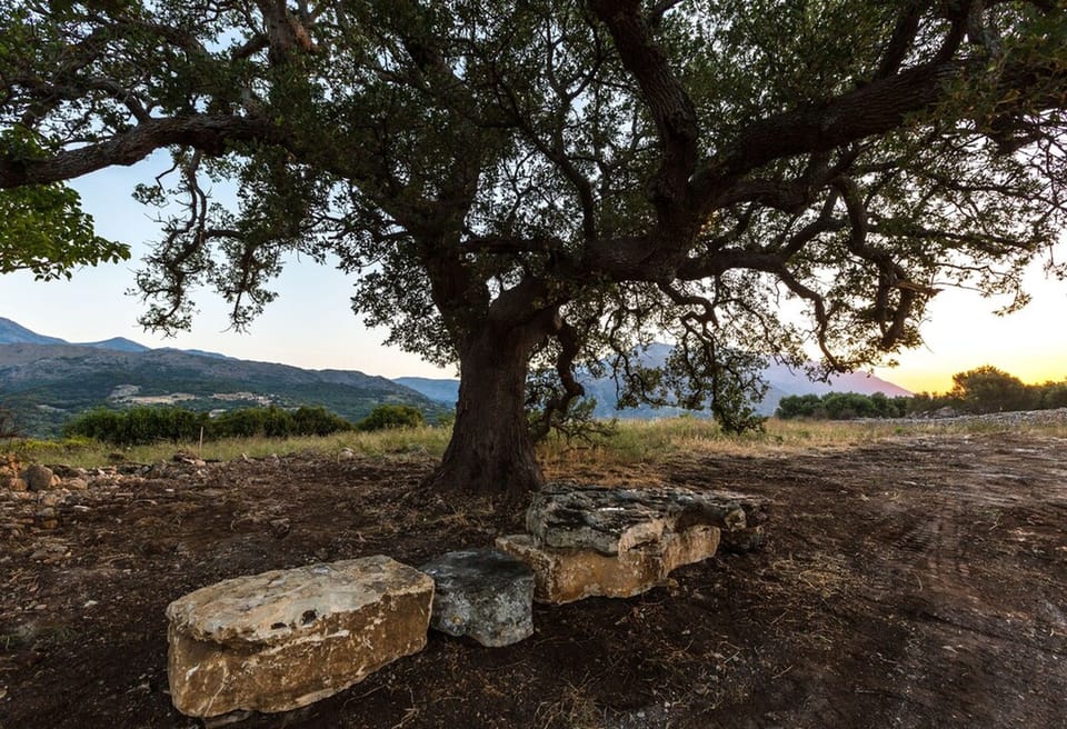 Located in the fenced area of the villa, in the higher level above pool area.