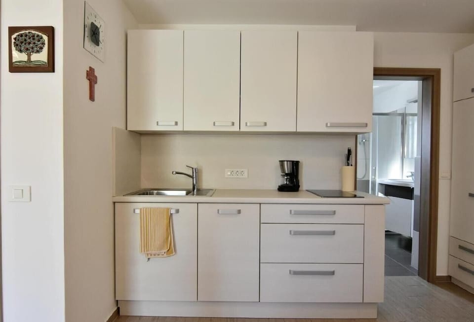 The kitchen equipped with a dishwasher, coffee machine, kettle, two electric ceramic hobs