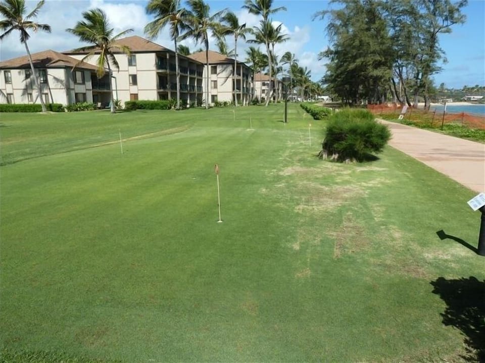 Putting green, shuffle board and horse shoes for family fun.
