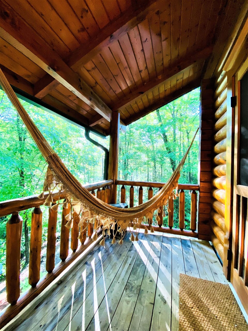 Back deck with hammock. 