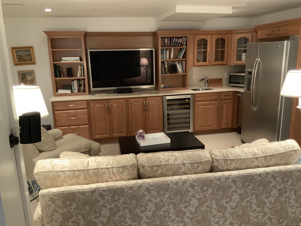 Lower Level lounge with home theater Queen Sofabed &Much More