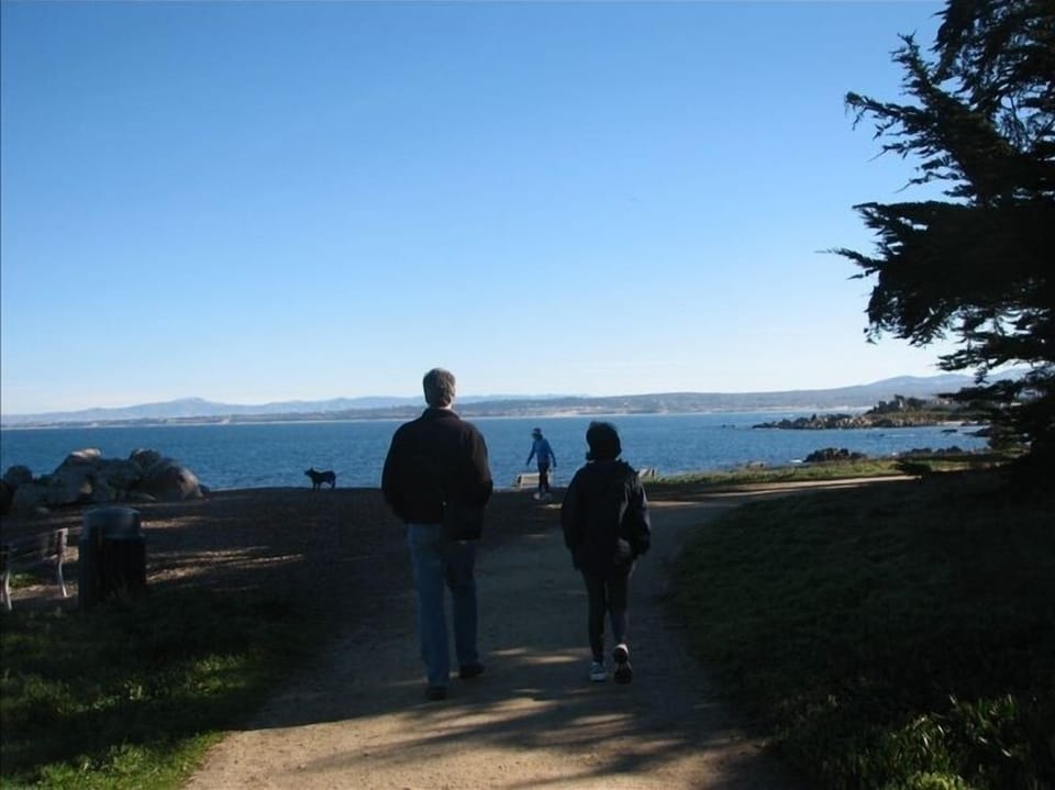 Walking by the Bay