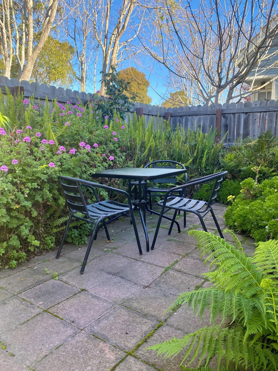 Small Private Patio in Fenced Garden
