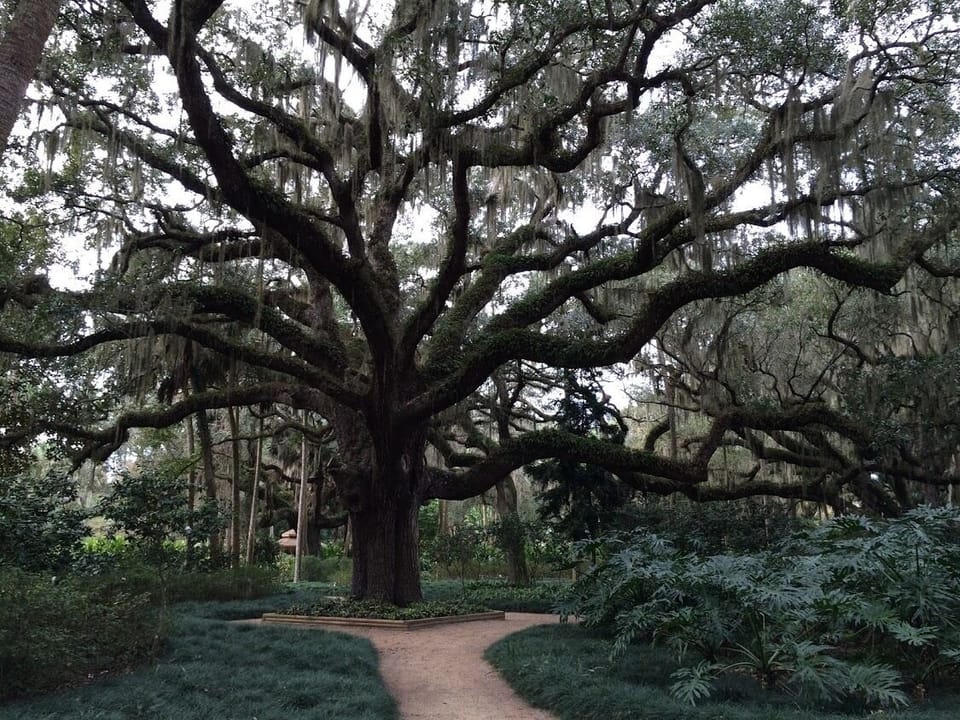 just a few miles to Washington Oaks State Park