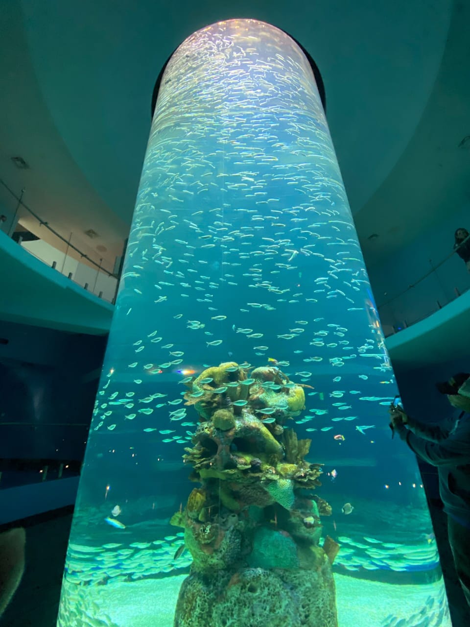 New Aquarium in Biloxi 