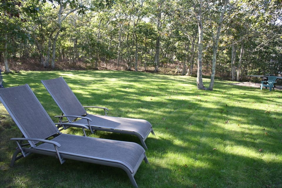 Spacious yard is great for relaxing, lawn games or even ping pong!