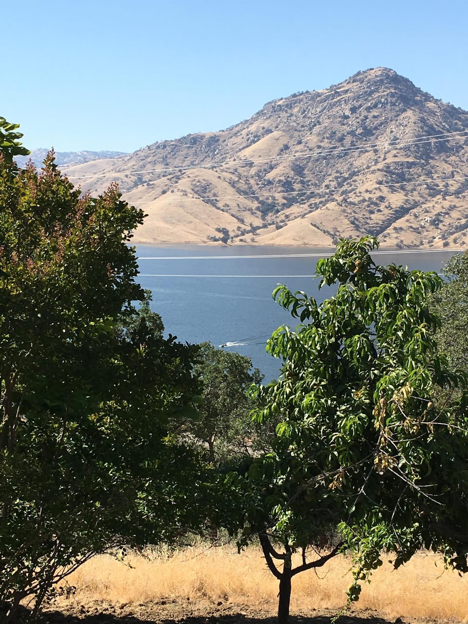 Views overlooking the lake