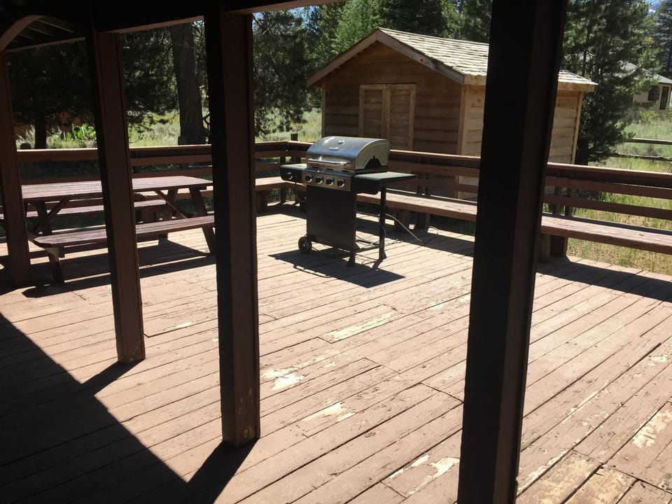 Quite spacious backyard with a propane gas BBQ grill, picnic table, and chairs