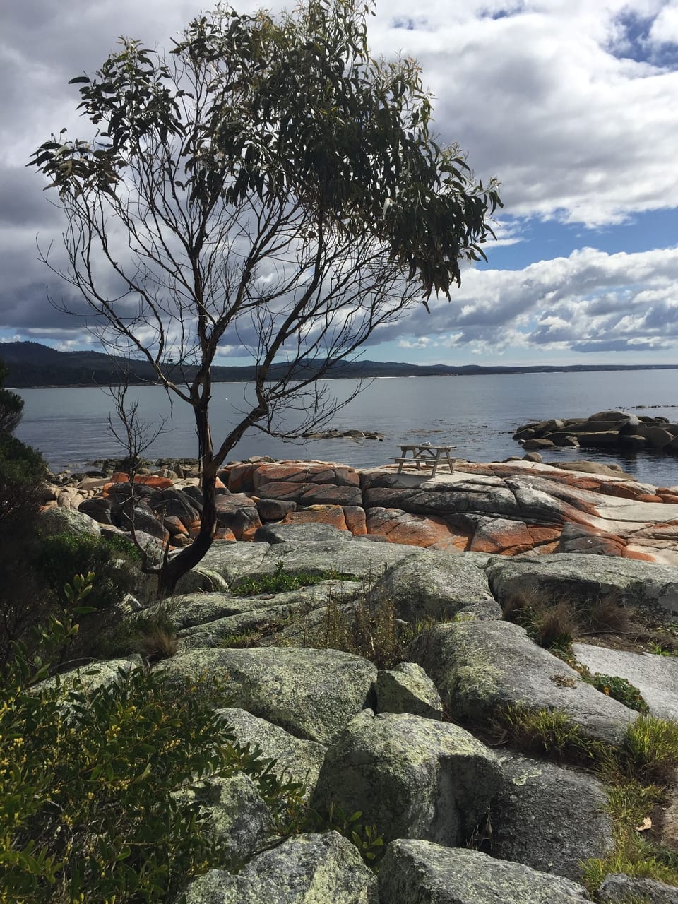 Gultch at the bottom of the street, looking towards Eddystone Point 