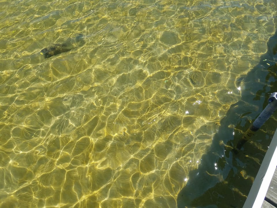 Clear water