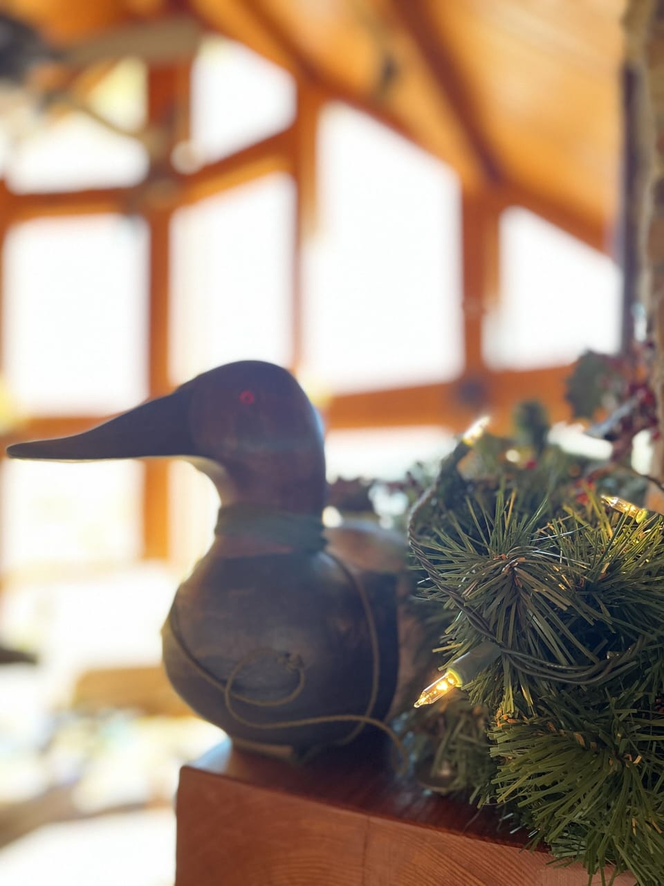 Come enjoy the holidays with a view!