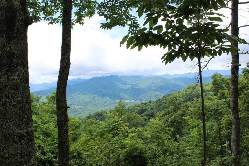 View directly out front door on western side of wraparound deck