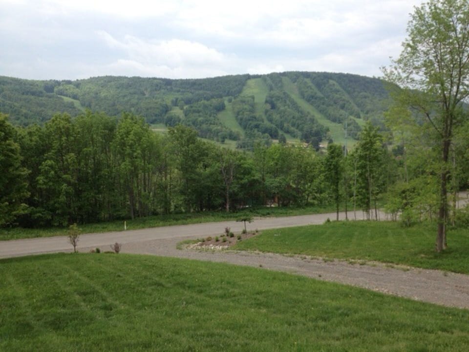 View from Patio