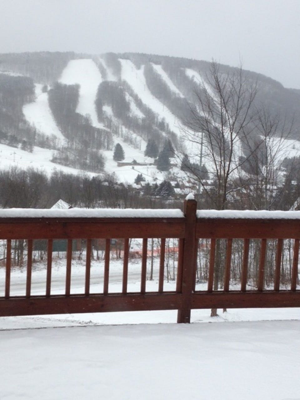 View from 60 ft wide deck