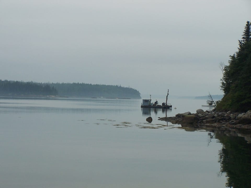 To the north of the property is a harbor home to two lobster boats.  If you head to the dock in the late afternoon, you can buy lobsters directly from the lobstermen! 