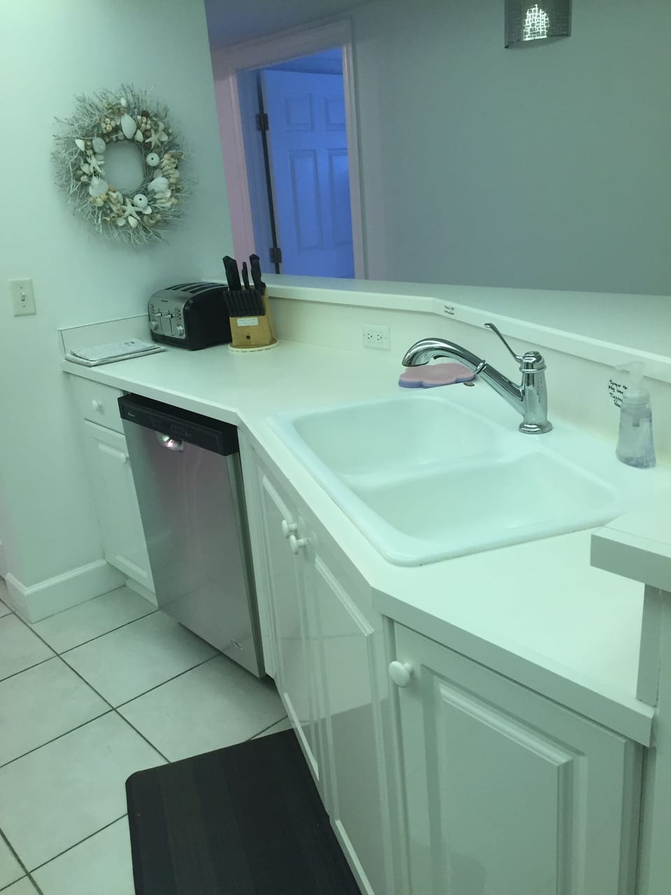 Kitchen dishwasher