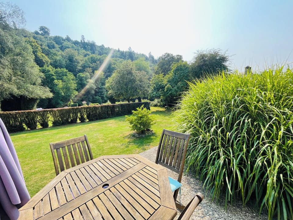 View from patio