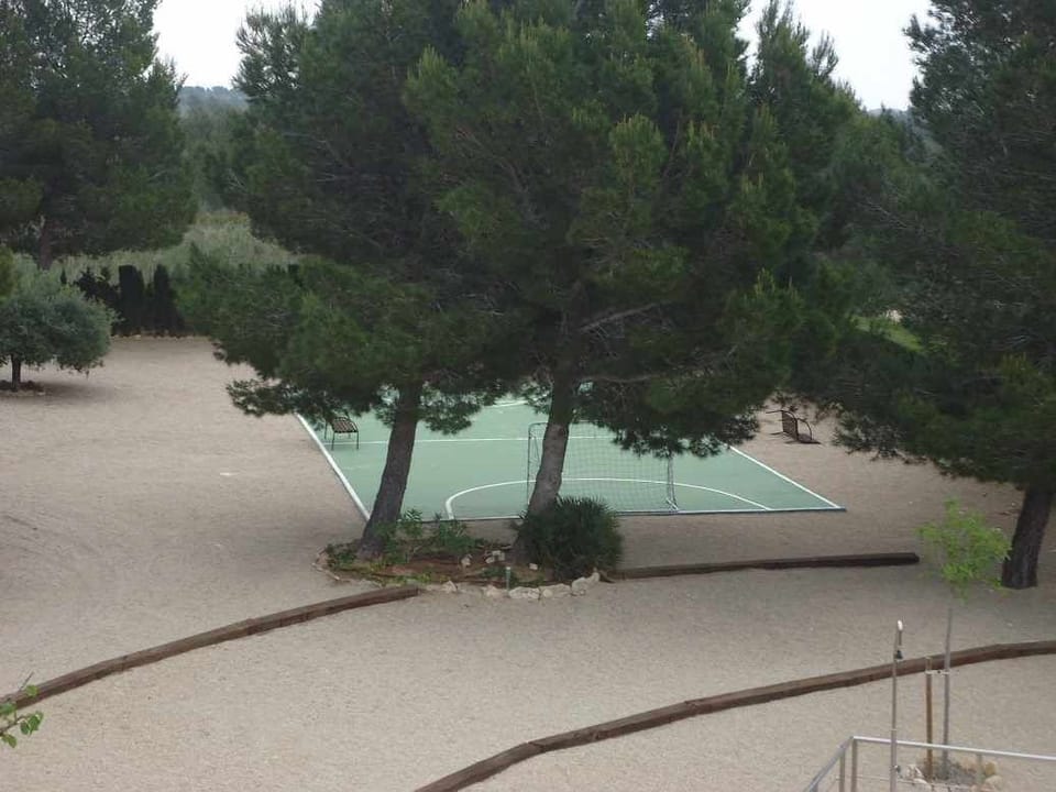 Sport court