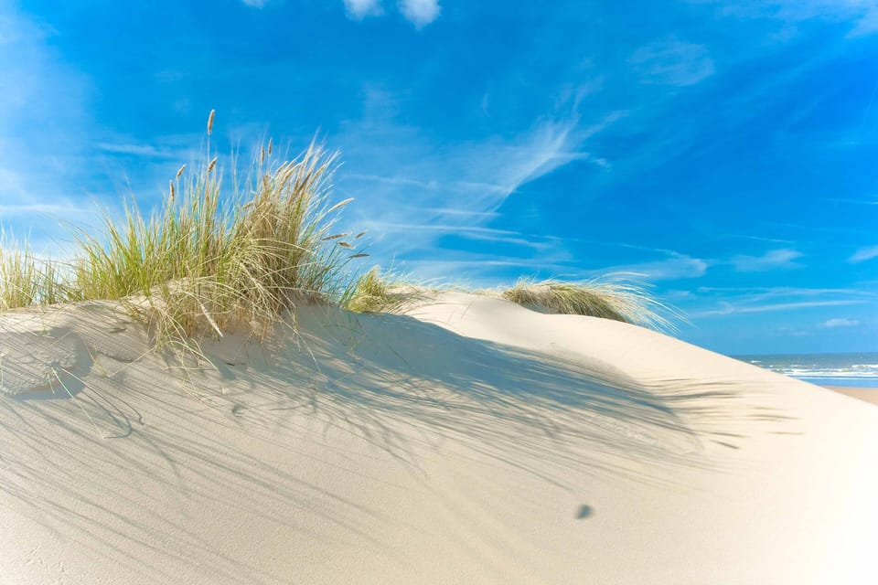 A Summers dream.Holkham beach.
