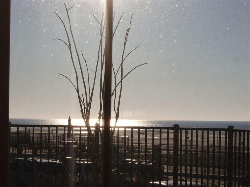MOONLIGHT ON THE GULF FROM BOTTOM DECK