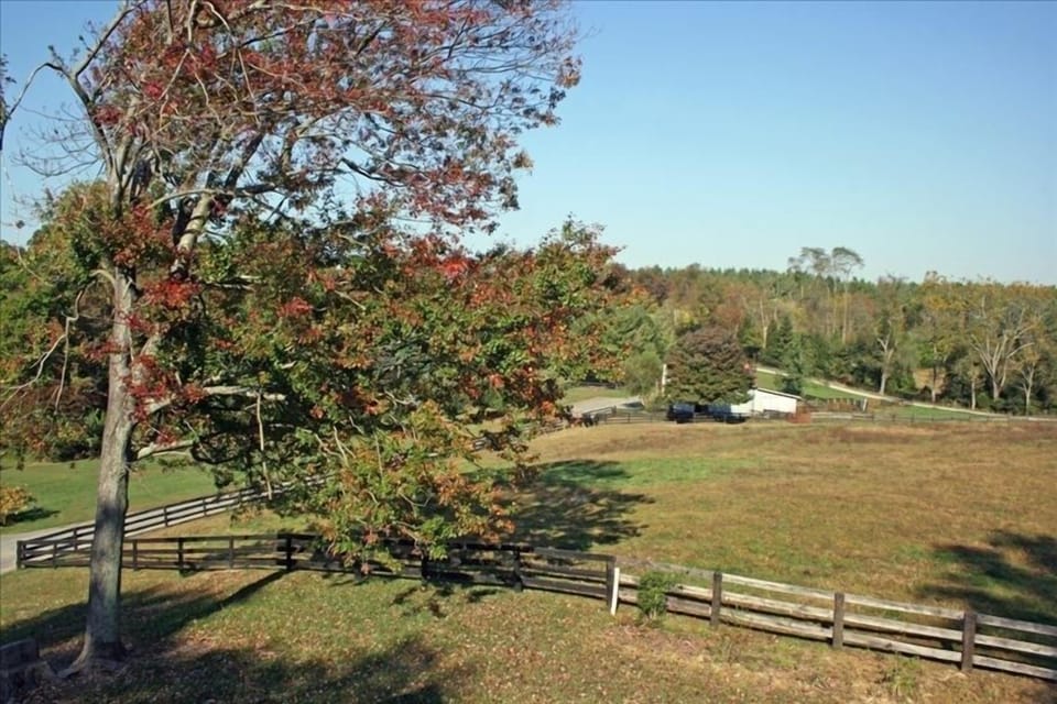 View of pasture from front of cottage