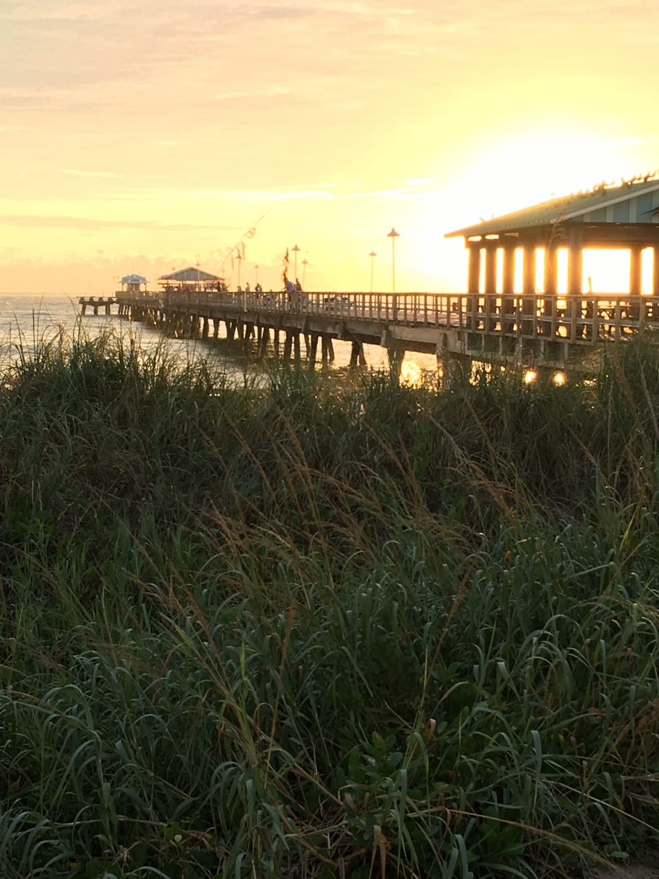 Lauderdale by the Sea fishing pier is an easy walk up the beach
