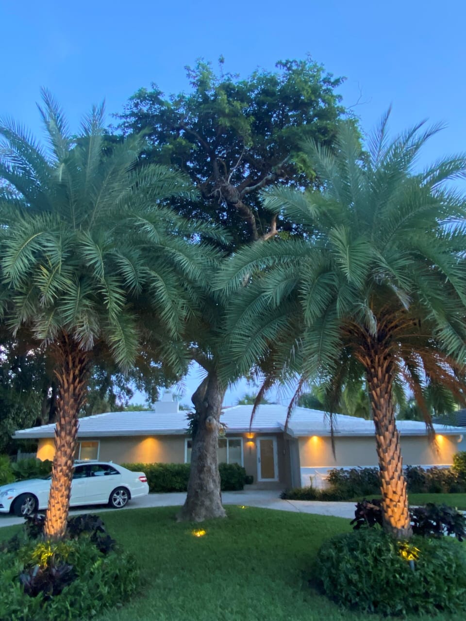 Tropical feeling starts right out front
