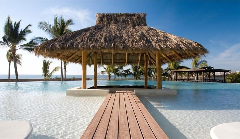 Swim up Palapa bar in our beautiful Infinity Pool 