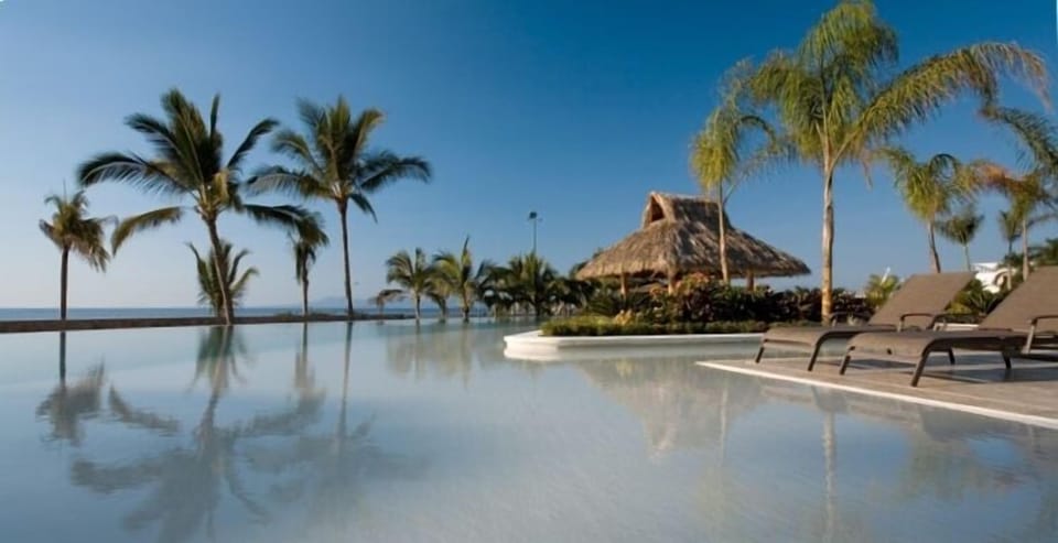Largest infinity Pool in PV & Palapa overlooking  the ocean. 